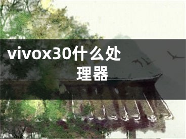 vivox30什么處理器