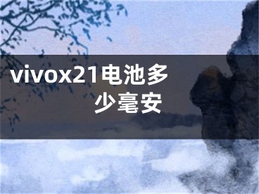 vivox21電池多少毫安