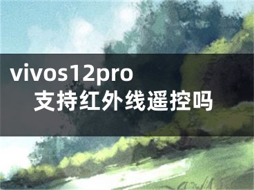 vivos12pro支持紅外線遙控嗎