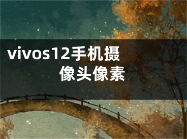 vivos12手機(jī)攝像頭像素