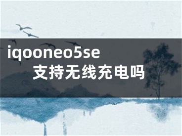 iqooneo5se支持無線充電嗎