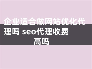 企業(yè)適合做網(wǎng)站優(yōu)化代理嗎 seo代理收費(fèi)高嗎 