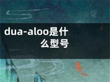 dua-aloo是什么型號