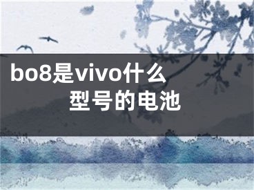 bo8是vivo什么型號的電池