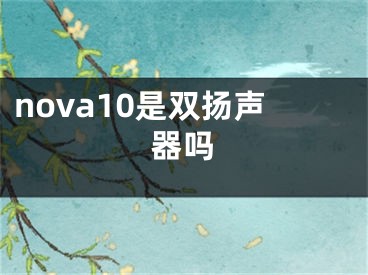 nova10是雙揚聲器嗎