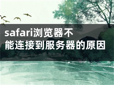 safari瀏覽器不能連接到服務(wù)器的原因