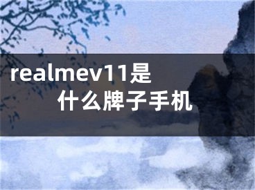 realmev11是什么牌子手機