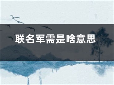 聯(lián)名軍需是啥意思