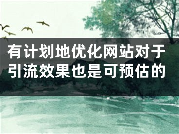 有計劃地優(yōu)化網(wǎng)站對于引流效果也是可預(yù)估的