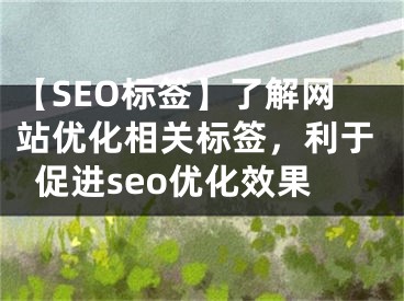 【SEO標(biāo)簽】了解網(wǎng)站優(yōu)化相關(guān)標(biāo)簽，利于促進seo優(yōu)化效果