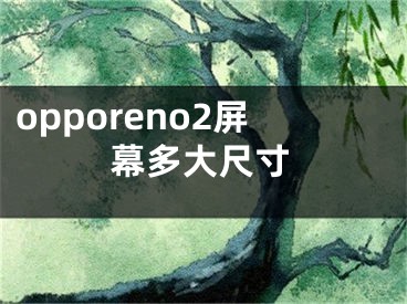 opporeno2屏幕多大尺寸