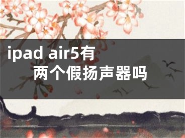 ipad air5有兩個假揚(yáng)聲器嗎