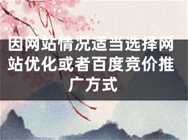 因網(wǎng)站情況適當(dāng)選擇網(wǎng)站優(yōu)化或者百度競價(jià)推廣方式