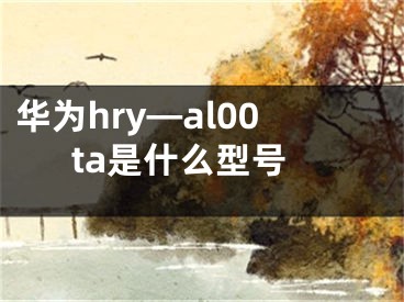 華為hry—al00ta是什么型號