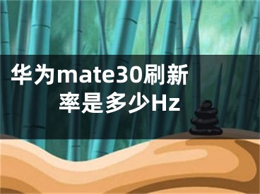 華為mate30刷新率是多少Hz