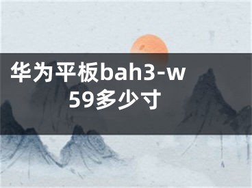 華為平板bah3-w59多少寸