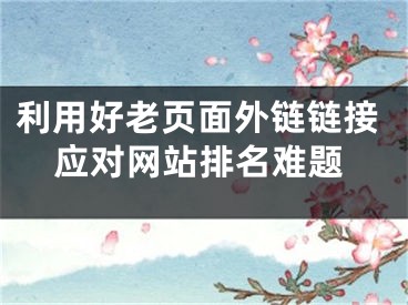 利用好老頁面外鏈鏈接應(yīng)對(duì)網(wǎng)站排名難題