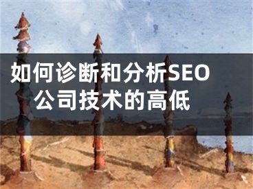 如何診斷和分析SEO公司技術(shù)的高低 