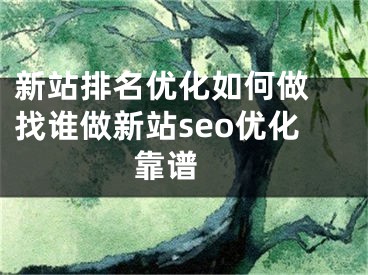 新站排名優(yōu)化如何做 找誰做新站seo優(yōu)化靠譜 