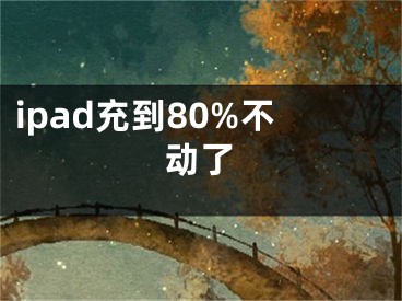 ipad充到80%不動了