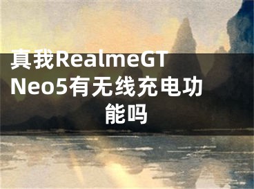 真我RealmeGTNeo5有無線充電功能嗎