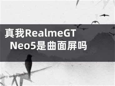 真我RealmeGTNeo5是曲面屏嗎