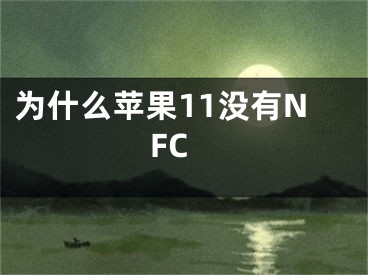 為什么蘋果11沒有NFC