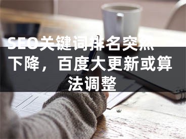 SEO關(guān)鍵詞排名突然下降，百度大更新或算法調(diào)整