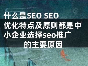 什么是SEO SEO優(yōu)化特點及原則都是中小企業(yè)選擇seo推廣的主要原因