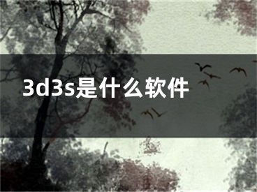 3d3s是什么軟件