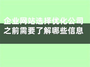 企業(yè)網(wǎng)站選擇優(yōu)化公司之前需要了解哪些信息 