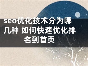 seo優(yōu)化技術(shù)分為哪幾種 如何快速優(yōu)化排名到首頁 