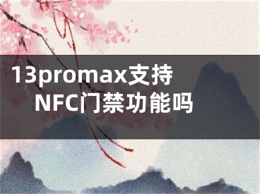 13promax支持NFC門禁功能嗎