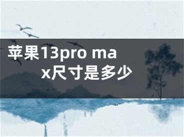 蘋果13pro max尺寸是多少