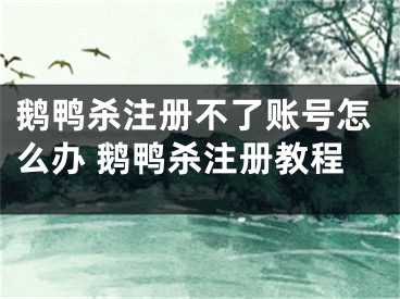 鵝鴨殺注冊(cè)不了賬號(hào)怎么辦 鵝鴨殺注冊(cè)教程