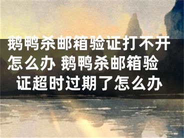 鵝鴨殺郵箱驗(yàn)證打不開(kāi)怎么辦 鵝鴨殺郵箱驗(yàn)證超時(shí)過(guò)期了怎么辦