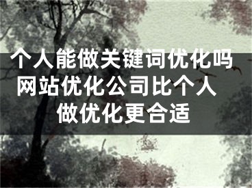 個人能做關鍵詞優(yōu)化嗎 網(wǎng)站優(yōu)化公司比個人做優(yōu)化更合適