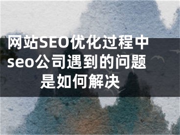 網(wǎng)站SEO優(yōu)化過程中seo公司遇到的問題是如何解決 