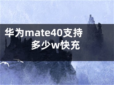 華為mate40支持多少w快充