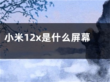 小米12x是什么屏幕