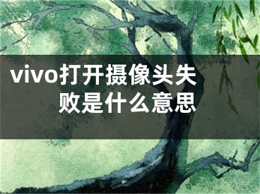 vivo打開攝像頭失敗是什么意思