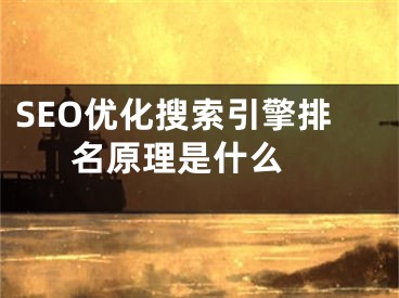 SEO優(yōu)化搜索引擎排名原理是什么 