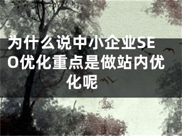 為什么說中小企業(yè)SEO優(yōu)化重點是做站內(nèi)優(yōu)化呢 