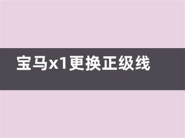 寶馬x1更換正級線