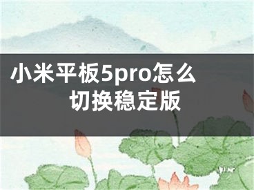 小米平板5pro怎么切換穩(wěn)定版