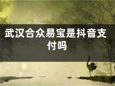 武漢合眾易寶是抖音支付嗎