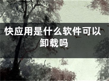 快應(yīng)用是什么軟件可以卸載嗎