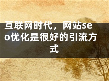 互聯(lián)網(wǎng)時(shí)代，網(wǎng)站seo優(yōu)化是很好的引流方式