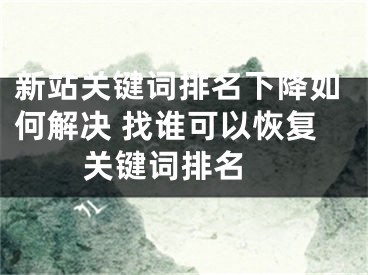 新站關(guān)鍵詞排名下降如何解決 找誰(shuí)可以恢復(fù)關(guān)鍵詞排名 