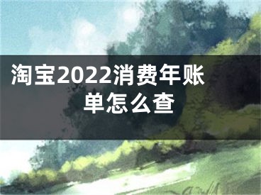 淘寶2022消費年賬單怎么查